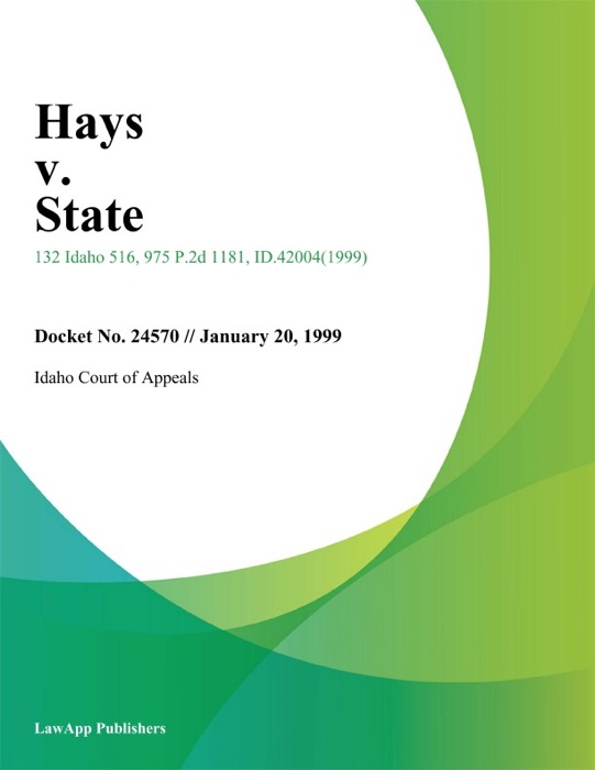 Hays V. State