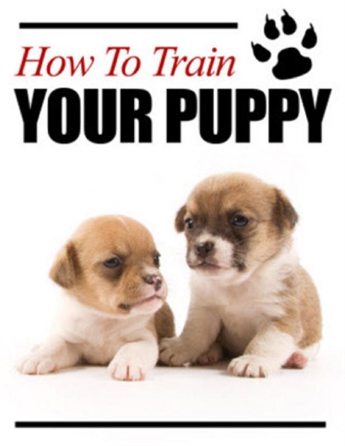 How to Train Your Puppy by eBook Legend on Apple Books