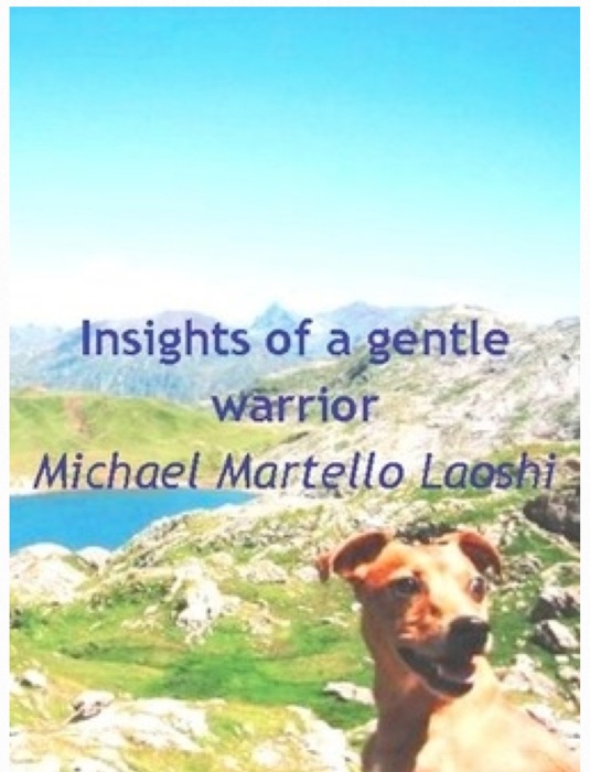 Insights of a Gentle Warrior