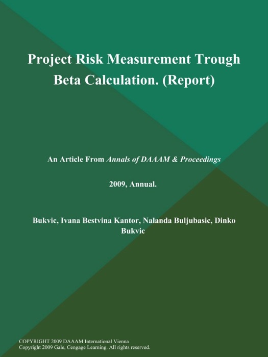 Project Risk Measurement Trough Beta Calculation (Report)