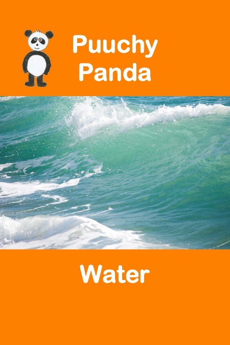 Puuchy Panda Water