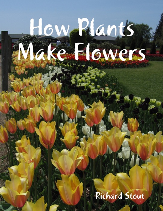 How Plants Make Flowers