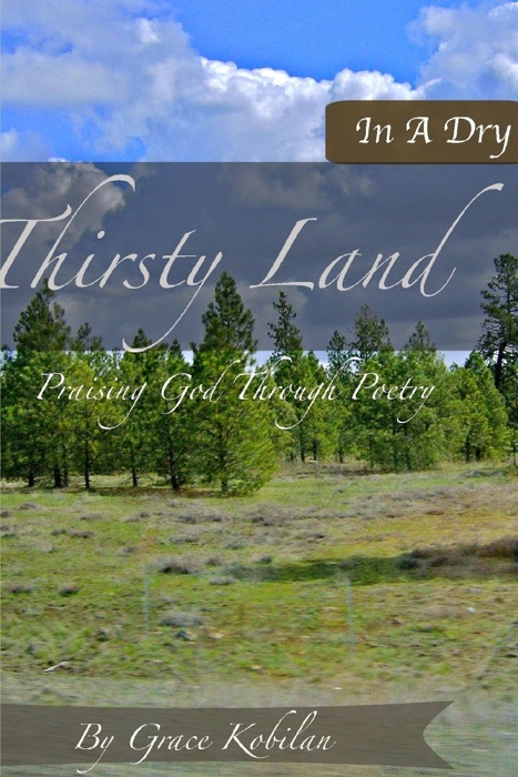 In a Dry and Thirsty Land