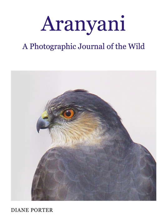 Aranyani