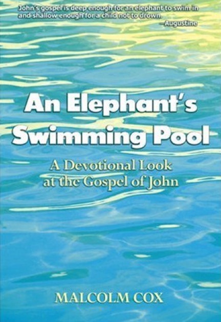 An Elephant's Swimming Pool