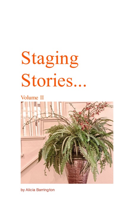 HHS: Staging Stories - V2