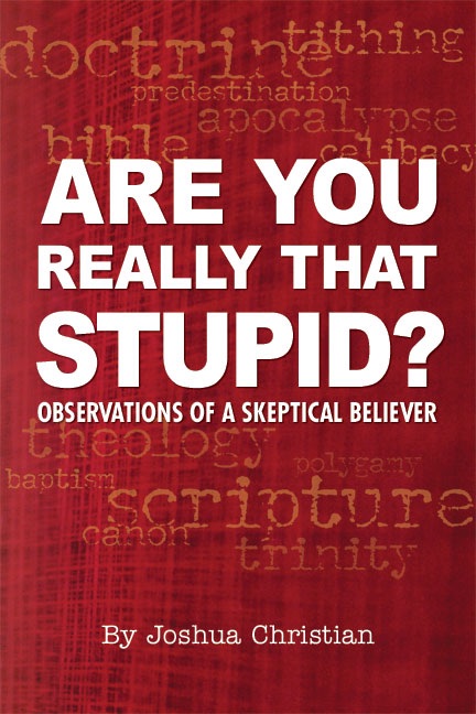 Are You Really That Stupid? Observations of a Skeptical Believer