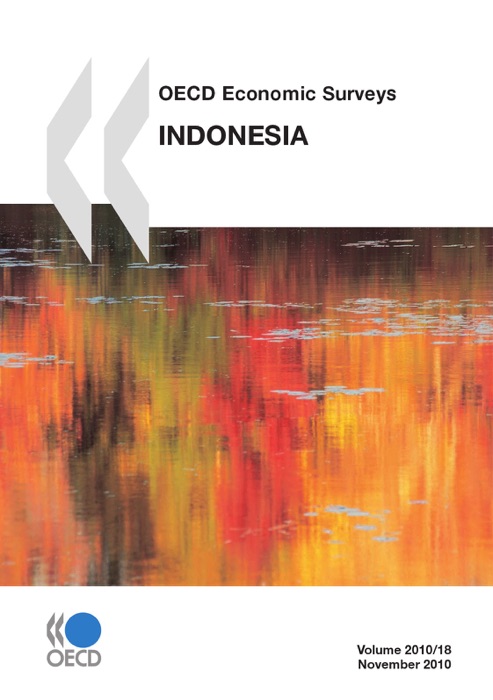 OECD Economic Surveys: Indonesia 2010