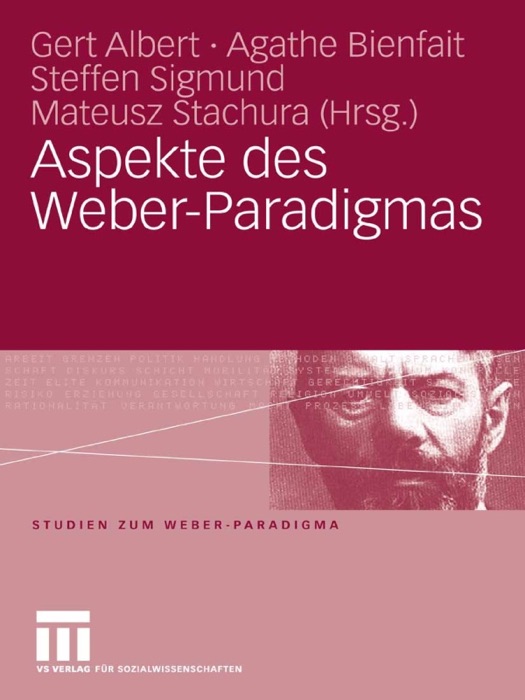 Aspekte des Weber-Paradigmas