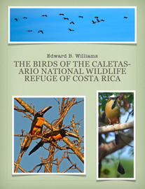 The Birds of the Caletas-Ario National Wildlife Refuge of Costa Rica