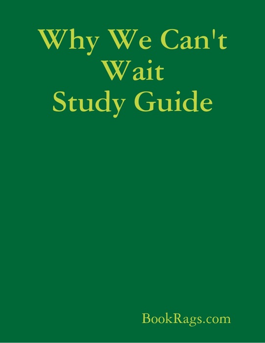 Why We Can't Wait Study Guide