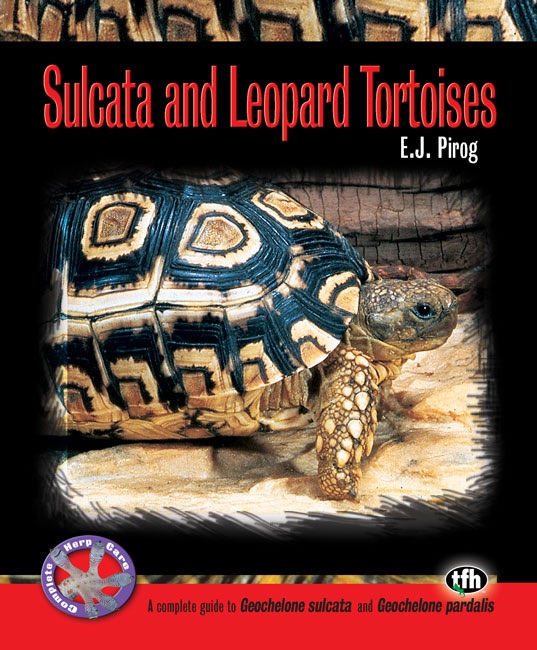 Sulcata and Leopard Tortoises