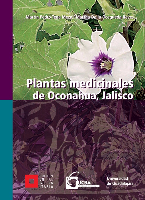 Plantas medicinales de Oconahua, Jalisco