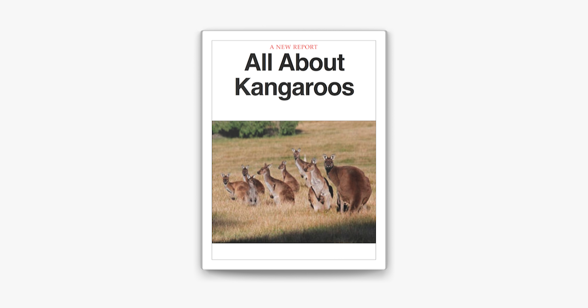  all about kangaroos on apple books