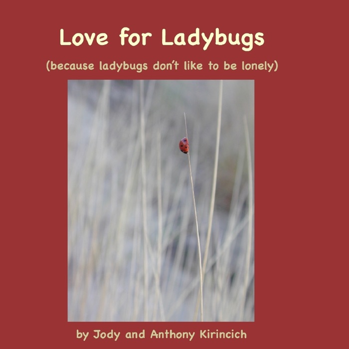 Love for Ladybugs