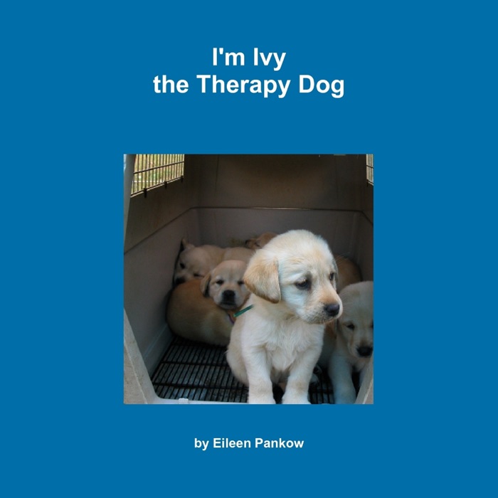 I'm Ivy  the Therapy Dog
