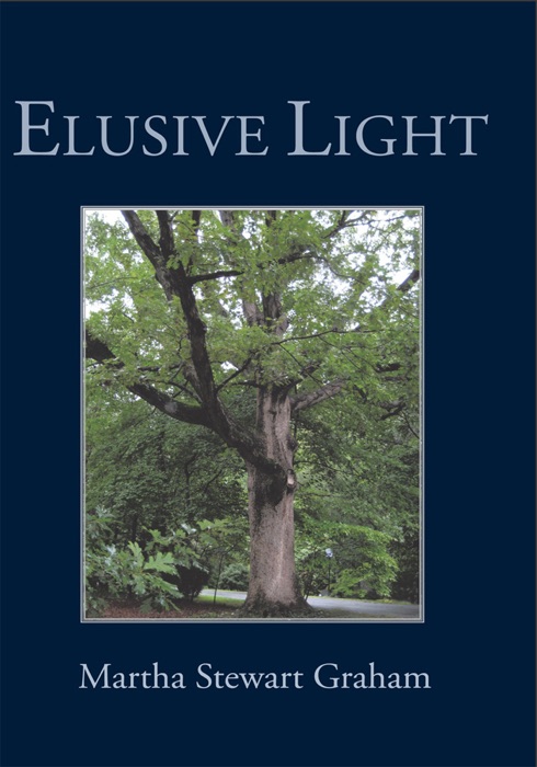 Elusive  Light