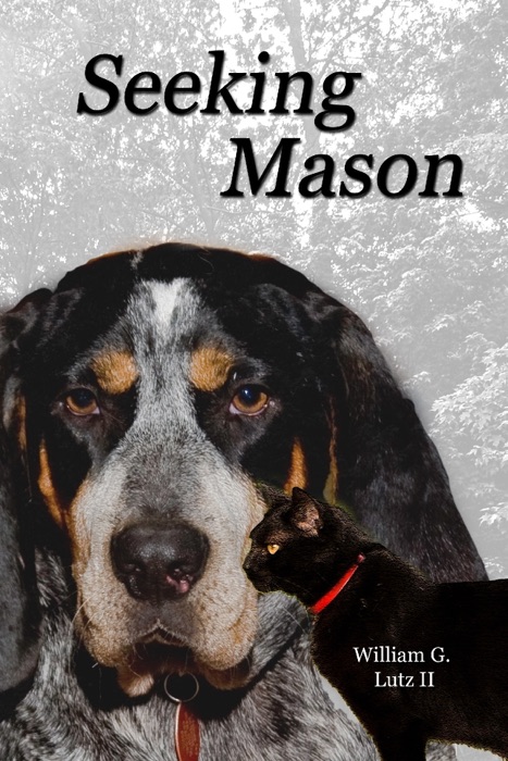Seeking Mason