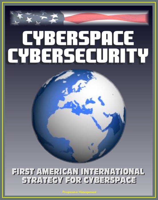 Cyberspace Cybersecurity: First American International Strategy for Cyberspace, White House and GAO Reports and Documents, Internet Data Security Protection, International Web Standards