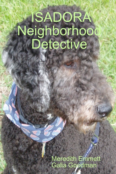 Isadora Neighborhood Detective