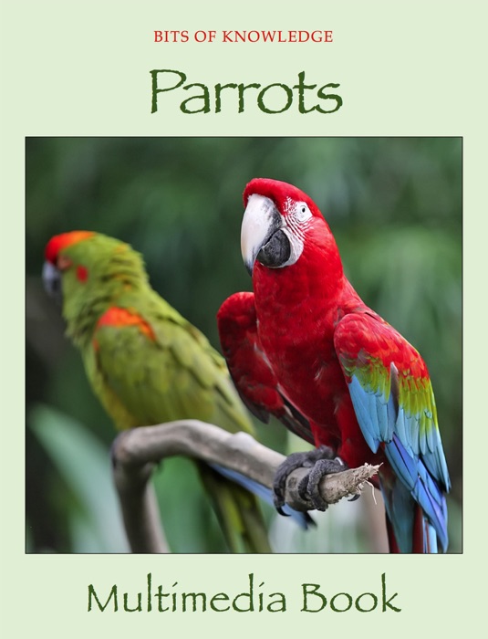 Parrots