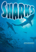 Sharks - John Townsend