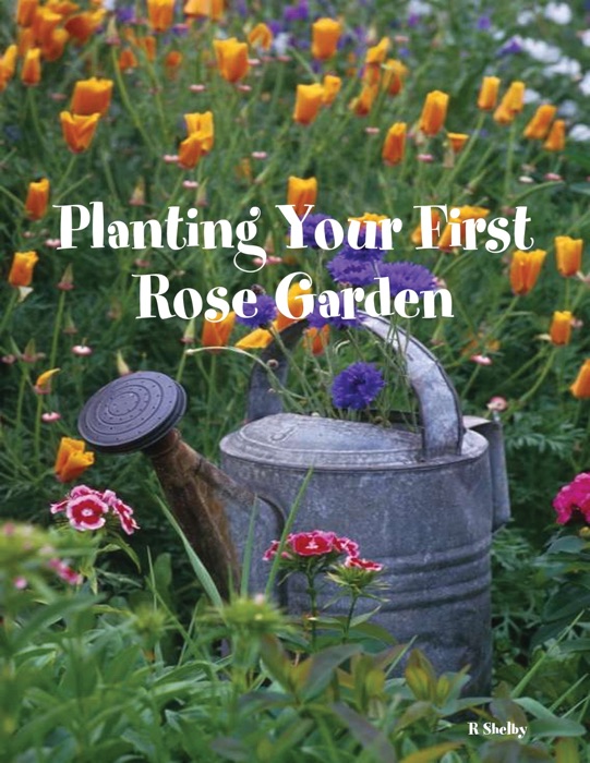 Planting Your First Rose Garden