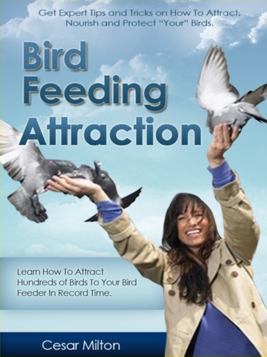 Bird Feeding Attraction