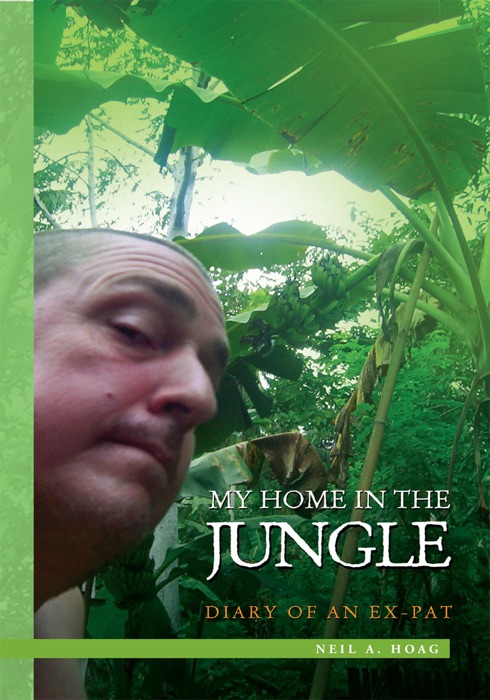 My Home In the Jungle