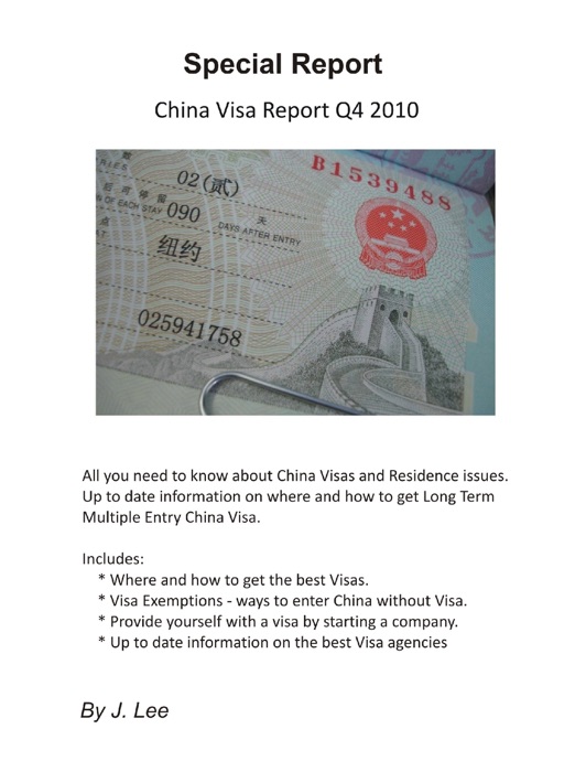 China Visa Report Q4 2010