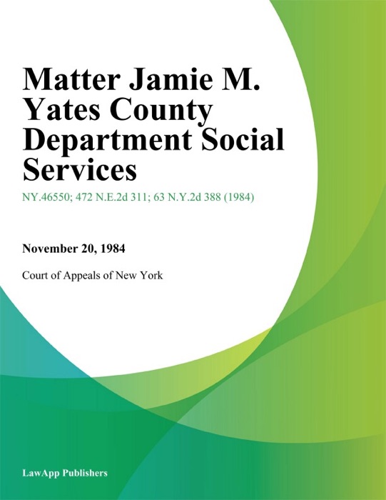 Matter Jamie M. Yates County Department Social Services