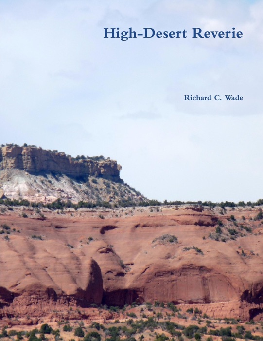 High Desert Reverie