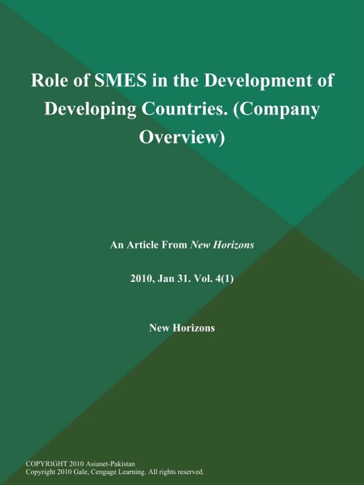 Role of SMES in the Development of Developing Countries (Company Overview)