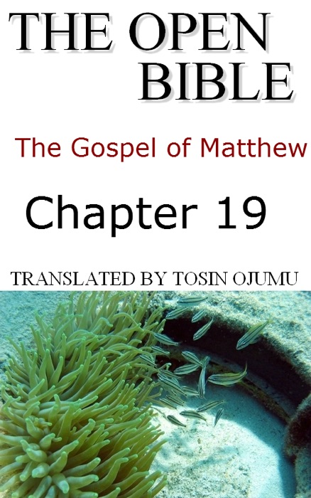 The Open Bible - The Gospel of Matthew: Chapter 19