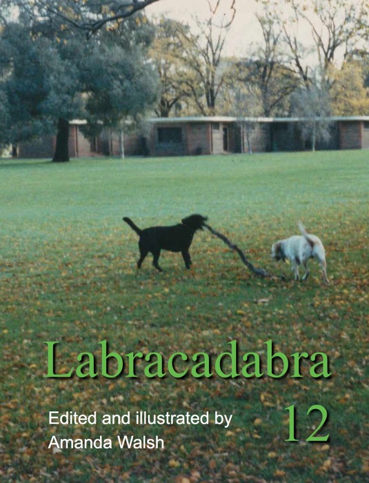 Labracadabra 12