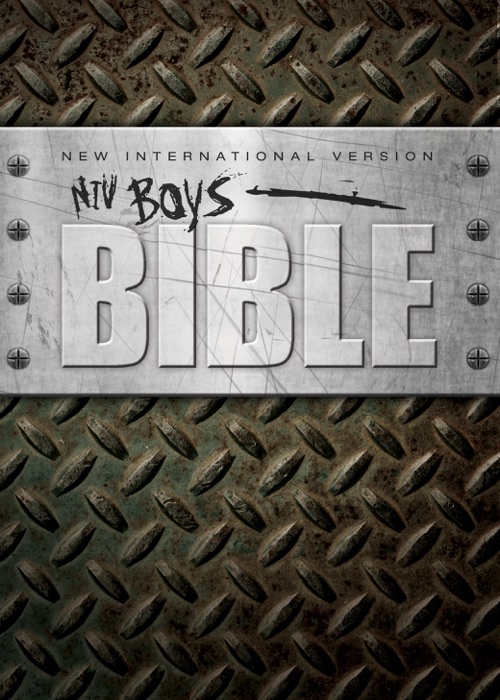 NIV, Boys Bible