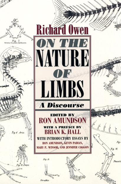 On the Nature of Limbs