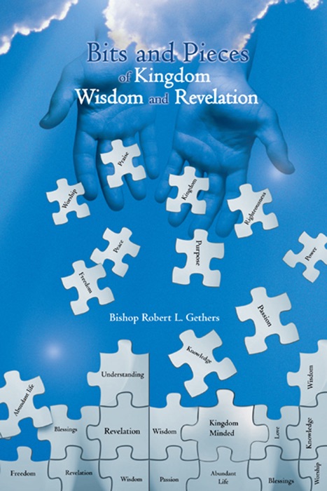 Bits And Pieces Of Kingdom Wisdom And Revelation