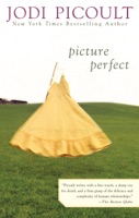 Picture Perfect - GlobalWritersRank