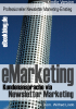eMarketing – Kundenansprache via Newsletter - Einstieg ins Newsletter Marketing - Wilfred Lindo