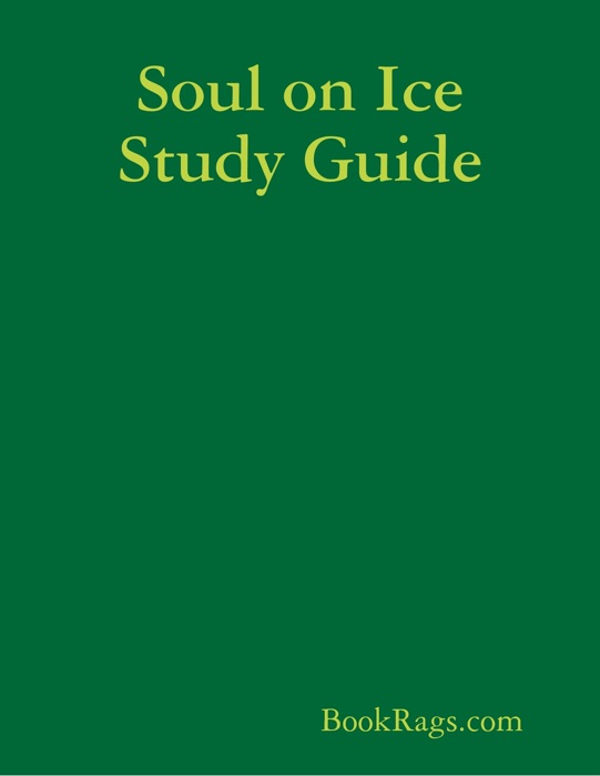 Soul on Ice Study Guide