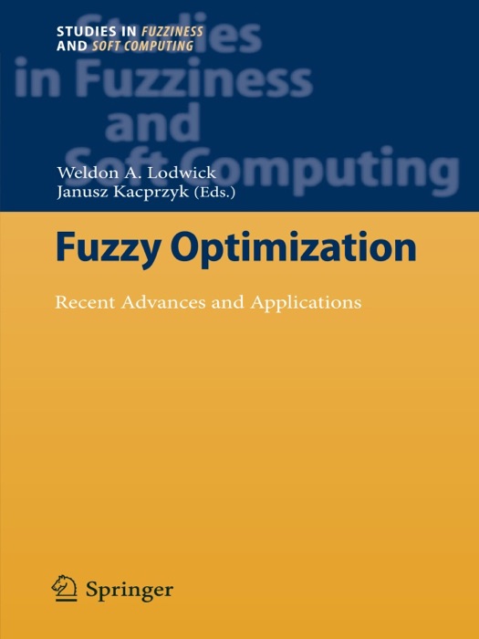 Fuzzy Optimization