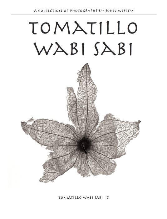 Tomatillo Wabi Sabi