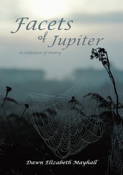 Facets of Jupiter