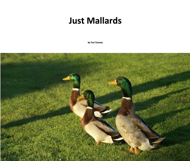Just Mallards
