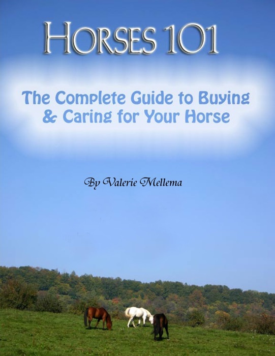 Horses 101