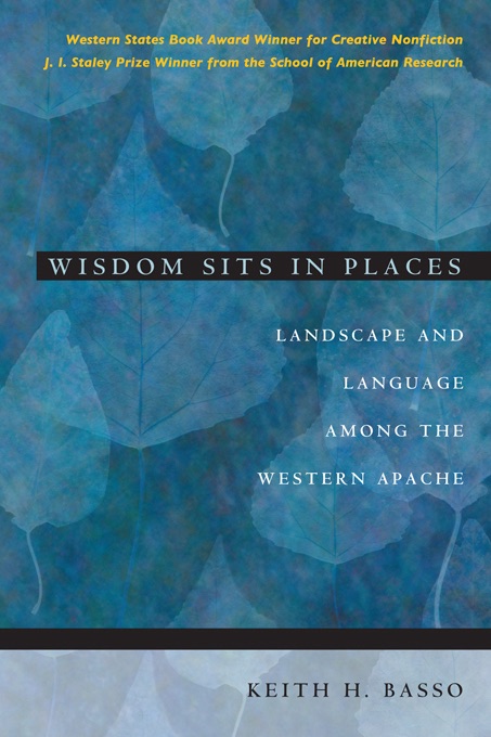 Wisdom Sits In Places