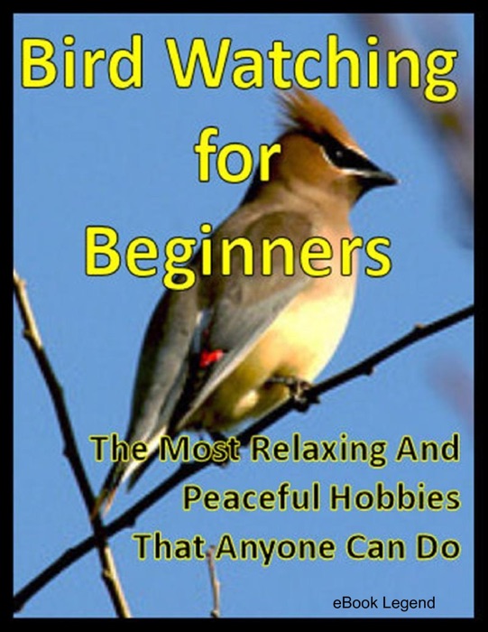 Bird Watching for Beginners