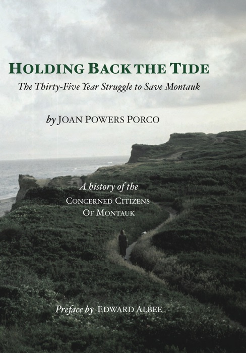 Holding Back the Tide