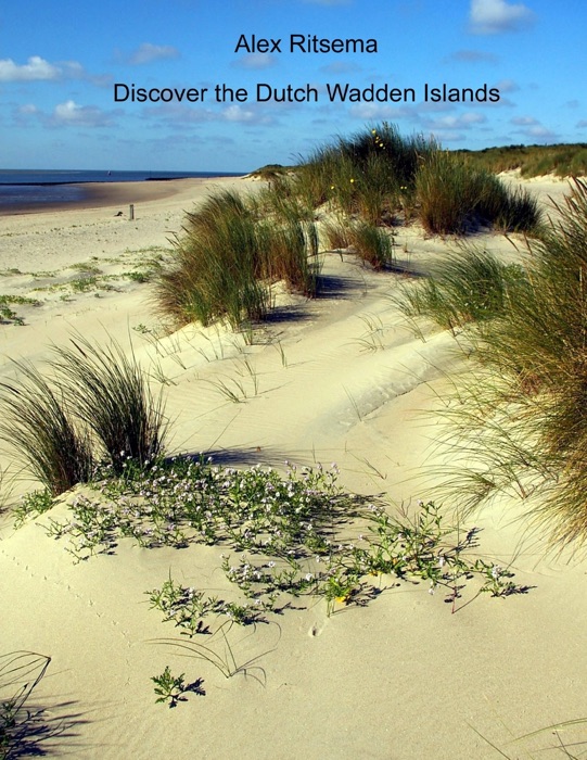 Discover the Dutch Wadden Islands